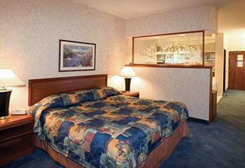 Holiday Inn Twin Falls, An Ihg Hotel Номер фото